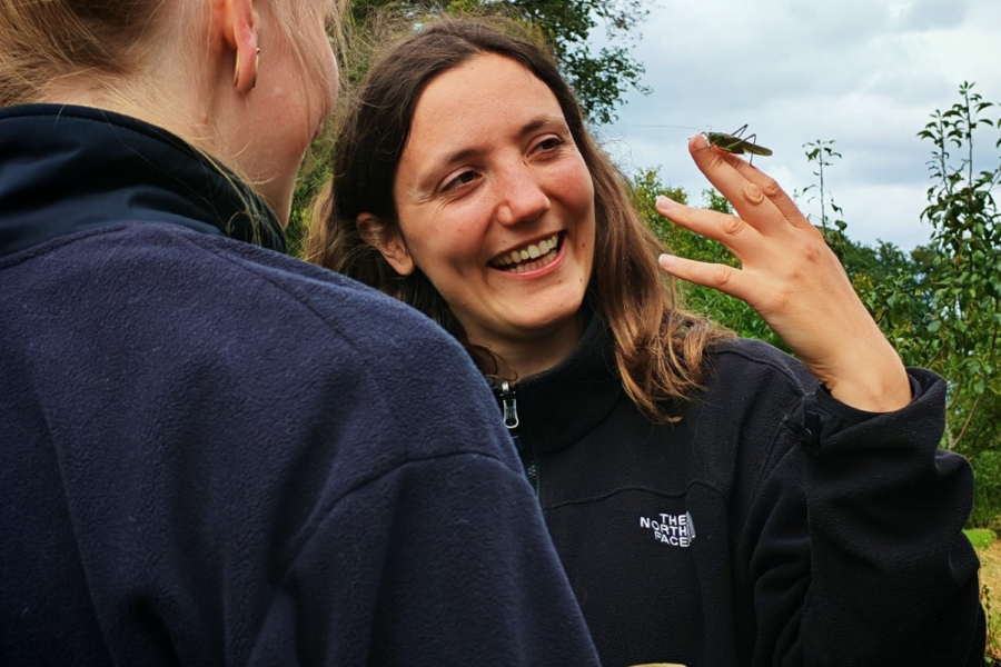 Teilnehmende eines Kurses bestimmen Insekten.